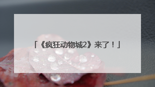 《疯狂动物城2》来了！