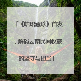 《皓珺藏珍》首发，解码云南民间收藏的坚守与担当