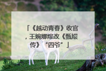 《越动青春》收官，王婉娜爆改《甄嬛传》“四爷”