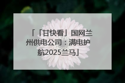 「甘快看」国网兰州供电公司：满电护航2025兰马