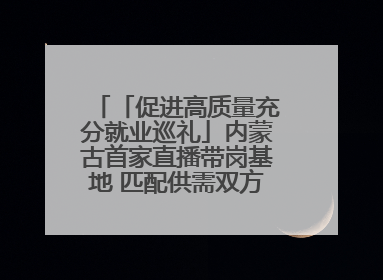 「促进高质量充分就业巡礼」内蒙古首家直播带岗基地 匹配供需双方 促进上岗就业