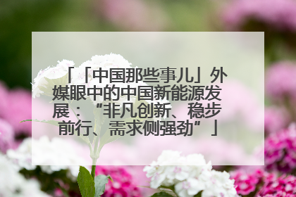 「中国那些事儿」外媒眼中的中国新能源发展：“非凡创新、稳步前行、需求侧强劲”