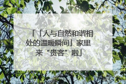 「人与自然和谐相处的温暖瞬间」家里来“贵客”啦