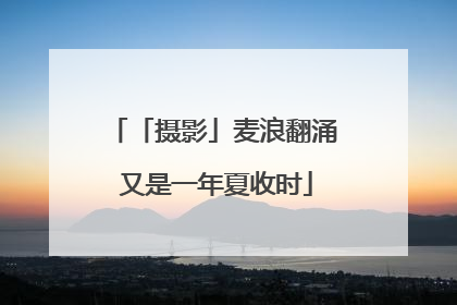 「摄影」麦浪翻涌 又是一年夏收时