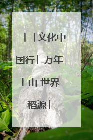「文化中国行」万年上山 世界稻源