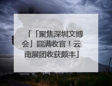 「聚焦深圳文博会」圆满收官！云南展团收获颇丰