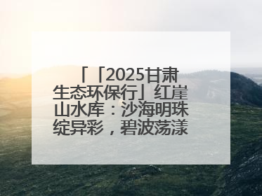 「2025甘肃生态环保行」红崖山水库：沙海明珠绽异彩，碧波荡漾润绿洲