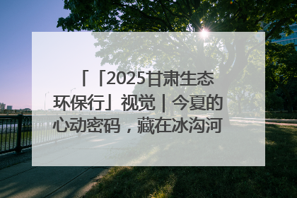 「2025甘肃生态环保行」视觉｜今夏的心动密码，藏在冰沟河的潋滟波光里