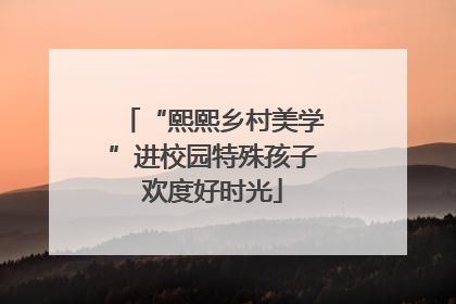 “熙熙乡村美学”进校园特殊孩子欢度好时光