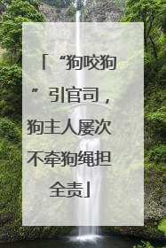 “狗咬狗”引官司，狗主人屡次不牵狗绳担全责