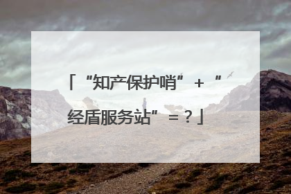 “知产保护哨”+“经盾服务站”=？