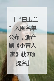 “白玉兰”入围名单公布，浙产剧《小巷人家》获7项提名
