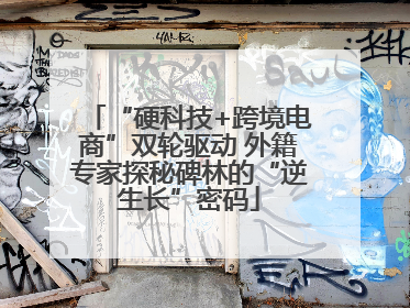 “硬科技+跨境电商”双轮驱动 外籍专家探秘碑林的“逆生长”密码