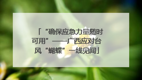 “确保应急力量随时可用”——广西应对台风“蝴蝶”一线见闻