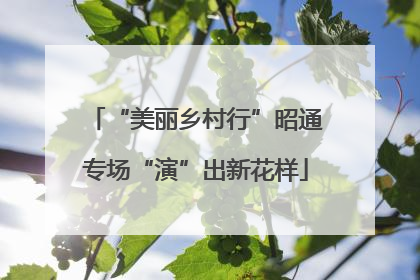 “美丽乡村行”昭通专场“演”出新花样