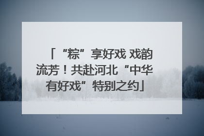 “粽”享好戏 戏韵流芳！共赴河北“中华有好戏”特别之约