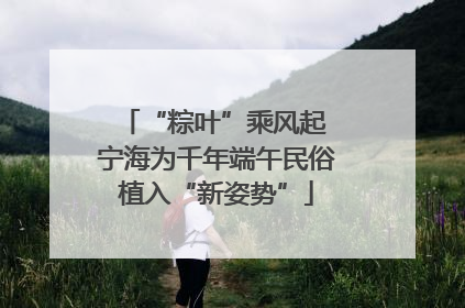 “粽叶”乘风起 宁海为千年端午民俗植入“新姿势”