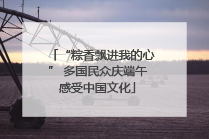 “粽香飘进我的心” 多国民众庆端午感受中国文化