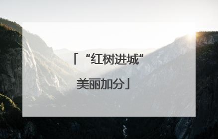 “红树进城” 美丽加分