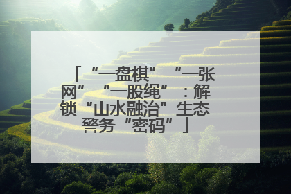 “一盘棋”“一张网”“一股绳”：解锁“山水融治”生态警务“密码”
