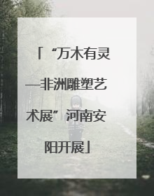 “万木有灵—非洲雕塑艺术展”河南安阳开展