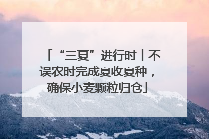 “三夏”进行时丨不误农时完成夏收夏种，确保小麦颗粒归仓