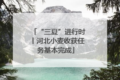“三夏”进行时丨河北小麦收获任务基本完成