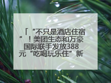 “不只是酒店住宿”！美团生态和万豪国际联手发放388元“吃喝玩乐住”新会员礼包
