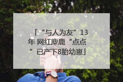 “与人为友”13年 网红麋鹿“点点”已产下8胎幼崽
