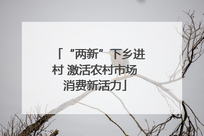 “两新”下乡进村 激活农村市场消费新活力