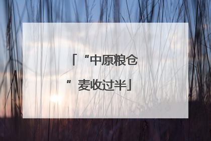 “中原粮仓”麦收过半