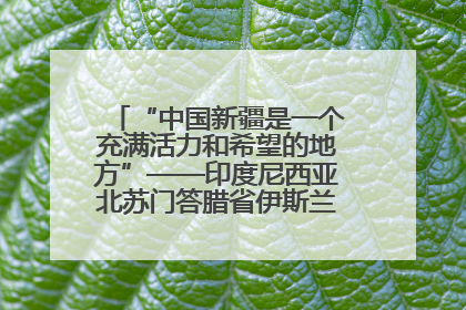 “中国新疆是一个充满活力和希望的地方”——印度尼西亚北苏门答腊省伊斯兰教代表团参访新疆