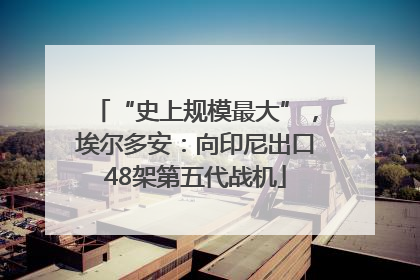 “史上规模最大”，埃尔多安：向印尼出口48架第五代战机