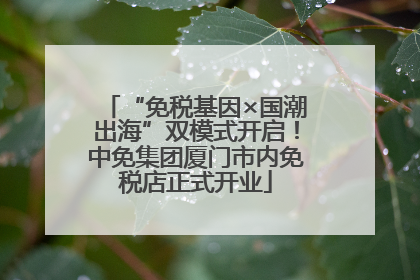 “免税基因×国潮出海”双模式开启！中免集团厦门市内免税店正式开业