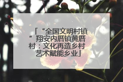 “全国文明村镇”翔安内厝镇黄厝村：文化再造乡村 艺术赋能乡业