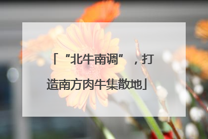 “北牛南调”，打造南方肉牛集散地