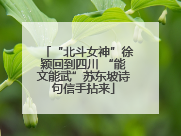 “北斗女神”徐颖回到四川 “能文能武”苏东坡诗句信手拈来