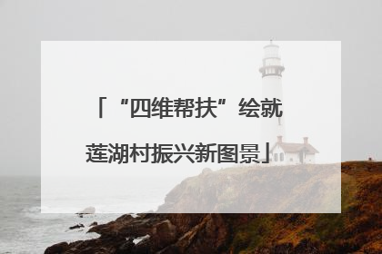 “四维帮扶”绘就莲湖村振兴新图景