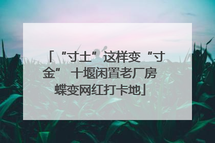 “寸土”这样变“寸金” 十堰闲置老厂房蝶变网红打卡地