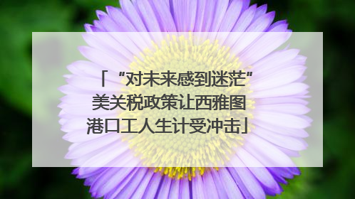 “对未来感到迷茫” 美关税政策让西雅图港口工人生计受冲击