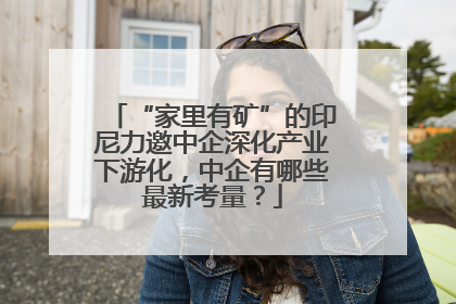 “家里有矿”的印尼力邀中企深化产业下游化，中企有哪些最新考量？