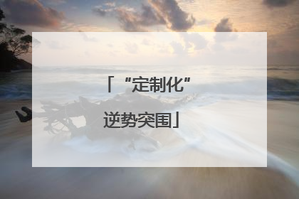 “定制化” 逆势突围