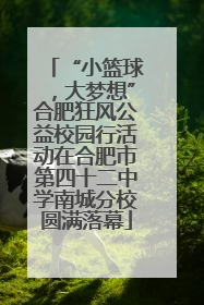 “小篮球，大梦想”合肥狂风公益校园行活动在合肥市第四十二中学南城分校圆满落幕