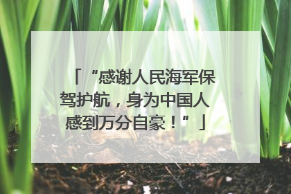 “感谢人民海军保驾护航，身为中国人感到万分自豪！”