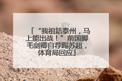 “我祖籍泰州，马上能出战！”前国脚毛剑卿自荐踢苏超，体育局回应