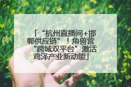 “杭州直播间+邯郸供应链”！角兽营“跨域双平台”激活鸡泽产业新动能