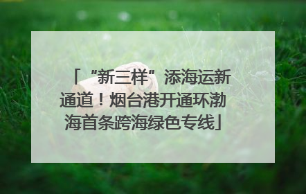 “新三样”添海运新通道！烟台港开通环渤海首条跨海绿色专线
