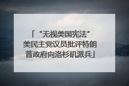“无视美国宪法” 美民主党议员批评特朗普政府向洛杉矶派兵