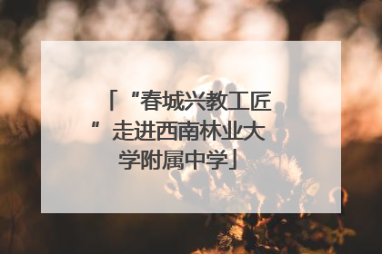 “春城兴教工匠”走进西南林业大学附属中学