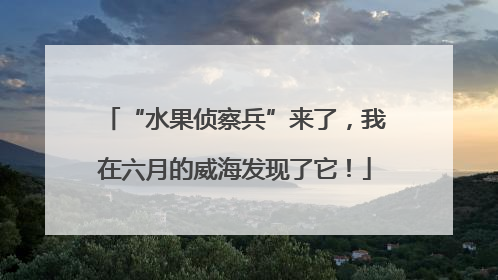 “水果侦察兵”来了，我在六月的威海发现了它！